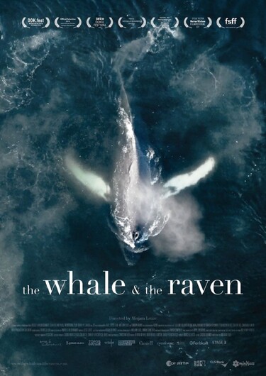 Filmplakat The Whale and the Raven