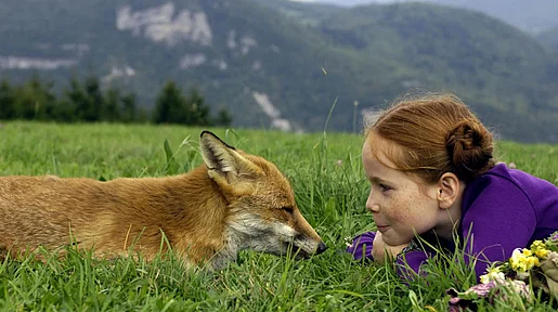 Szenenbild: Ein Mädchen liegt mit einem Fuchs auf der Wiese