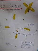 Liebmann Grundschule zu Tante Hilda