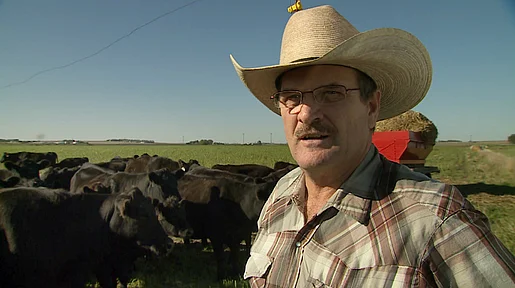 Szenenbild: Porträt des US-Farmers Howard Vlieger, im Hintergrund Rinder