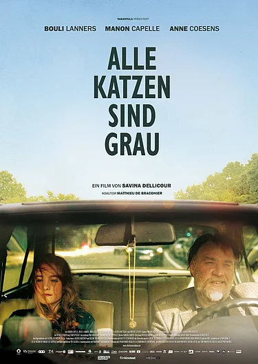 Plakat zu Alle Katzen sind grau