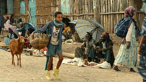 Link zum FilmTipp Ephraim und das Lamm