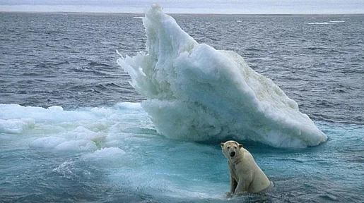 Szenenbild: eisbär im Wasser versucht auf eine Eisscholle zu kommen