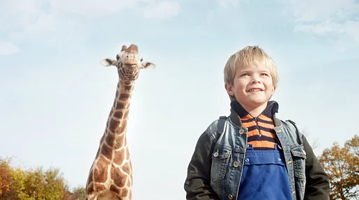 Link zu FilmTipp Mein Freund die Giraffe