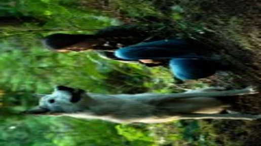 Shana sitzt neben einem Wolf im Wald. 