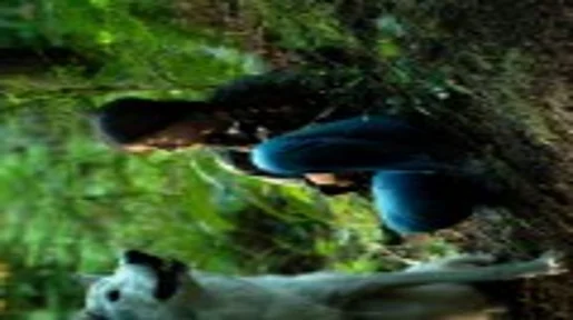 Shana sitzt neben einem Wolf im Wald. 