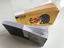 Abbildung zweier Daumenkinos, auf einer Unterlage aufgef&auml;chert stehend.