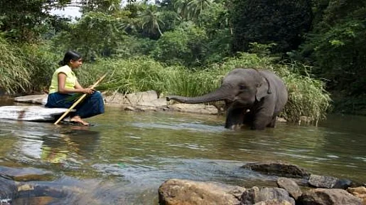 Szenenbild: Ein Elefant steht im Wasser. Eine Frau sitzt am Rand auf einem Stein