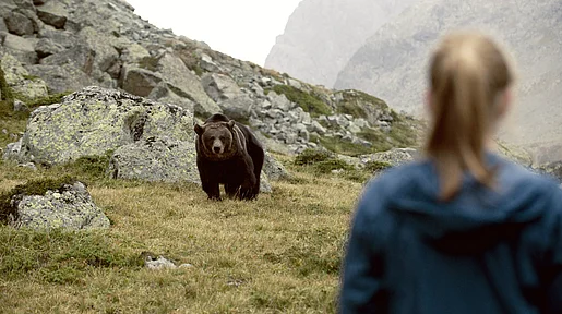 Szenenbild: Clara sieht einen Bären vor Felsen