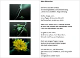 Drei Fotos von einer Pflanze und Blitzen, daneben ein Gedicht mit Titel "Mein B&auml;umchen"
