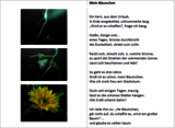 Drei Fotos von einer Pflanze und Blitzen, daneben ein Gedicht mit Titel "Mein Bäumchen"