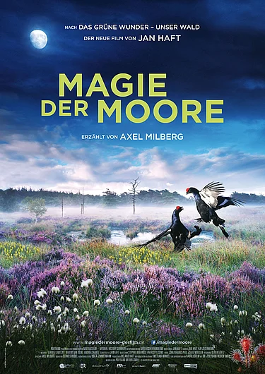 Plakat zu Magie der Moore
