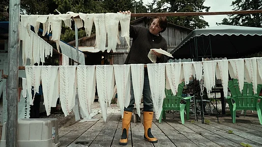 Link zum FilmTipp The Whale and the Raven