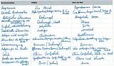 Eine ausgef&uuml;llte Tabelle, in der der Film "Perro" mit dem Film "Die Adern der Welt" verglichen wird 