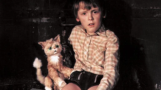 Moritz sitzt in der Dunkelheit neben seiner sprechenden Katze.