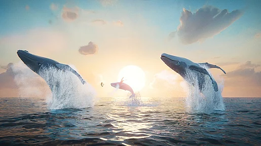 Link zum FilmTipp Der letzte Walsänger