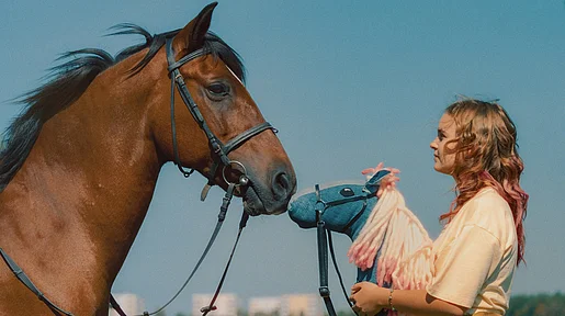 Link zum FilmTipp Pferd am Stiel