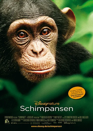 Filmplakt zu "Schimpansen"