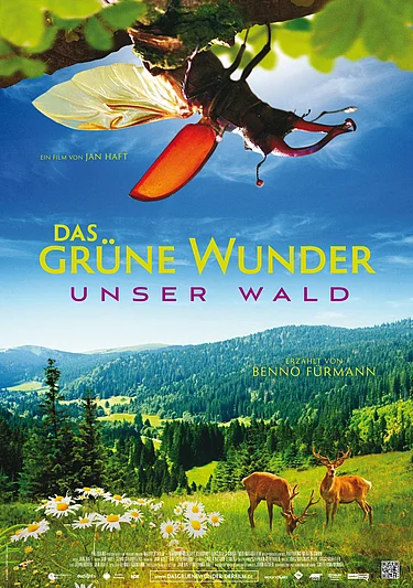 Plakat zu Das grüne Wunder - Unser Wald