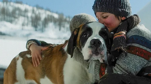 Link zum FilmTipp Mein Freund Barry